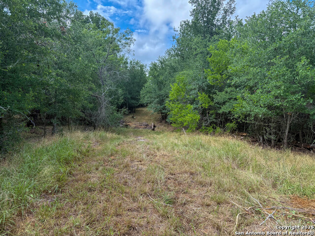 Image 34 of 34 For 001 County Road 266