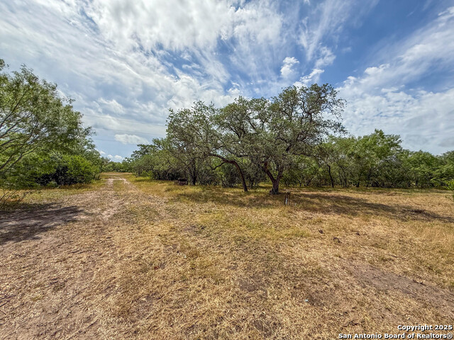 Image 6 of 34 For 001 County Road 266
