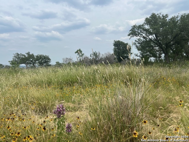 Listing photo id 0 for 195 Crescent Ridge