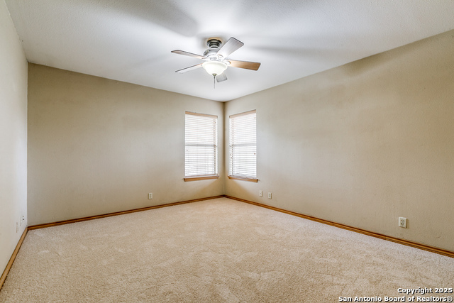 Image 15 of 26 For 101 Sylvester