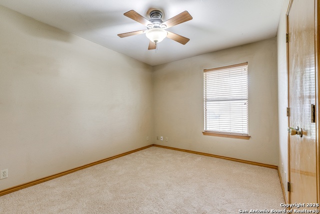 Image 19 of 26 For 101 Sylvester