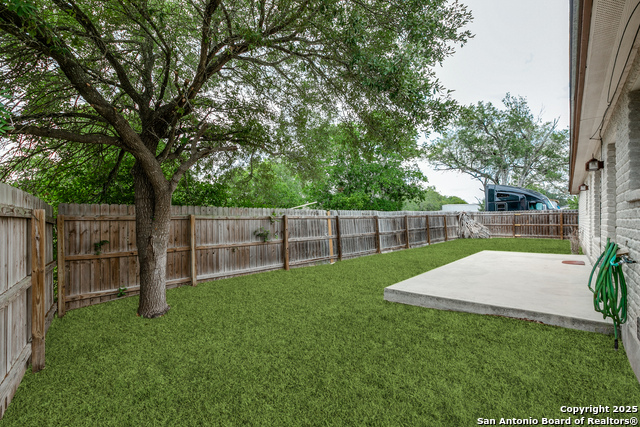 Image 24 of 26 For 101 Sylvester