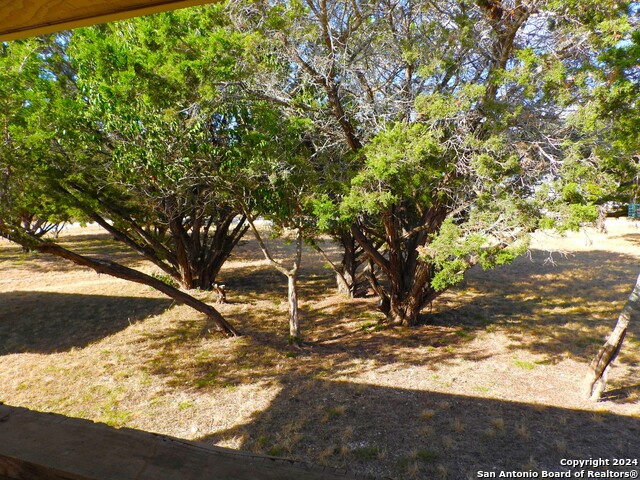 Listing photo id 42 for 159 Mississippi Ave