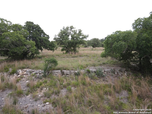 Listing photo id 4 for 10922 Pecan Ranch