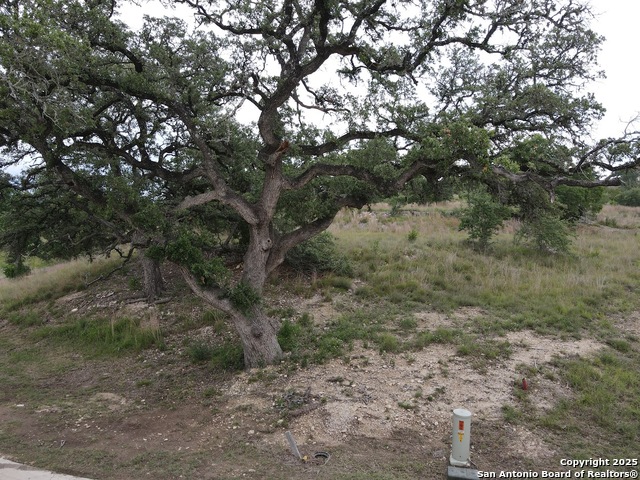 Listing photo id 5 for 10922 Pecan Ranch