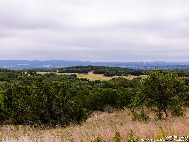Image 10 of 39 For Lot 95 Big Sky