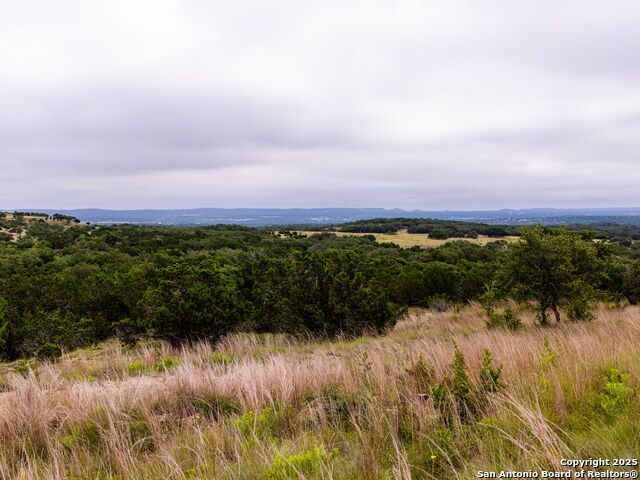 Image 11 of 39 For Lot 95 Big Sky