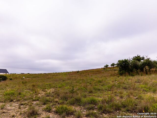 Image 12 of 39 For Lot 95 Big Sky