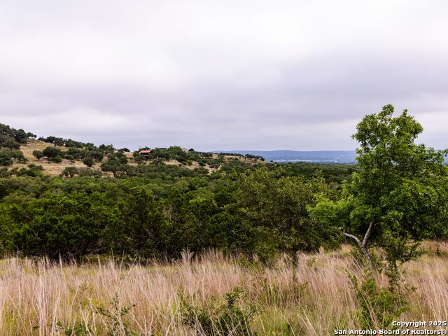 Image 13 of 39 For Lot 95 Big Sky