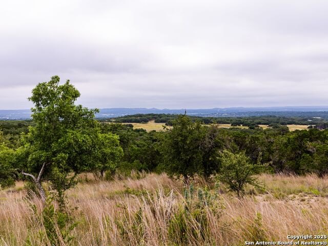 Image 14 of 39 For Lot 95 Big Sky