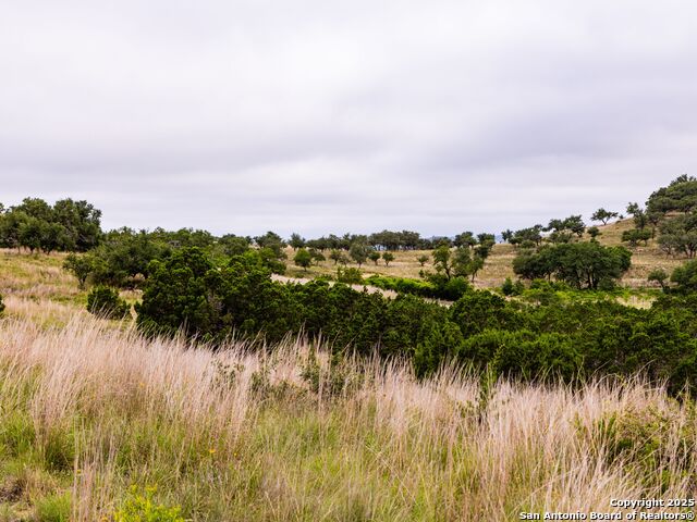 Image 16 of 39 For Lot 95 Big Sky