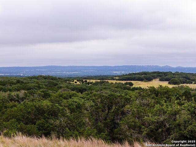 Image 17 of 39 For Lot 95 Big Sky