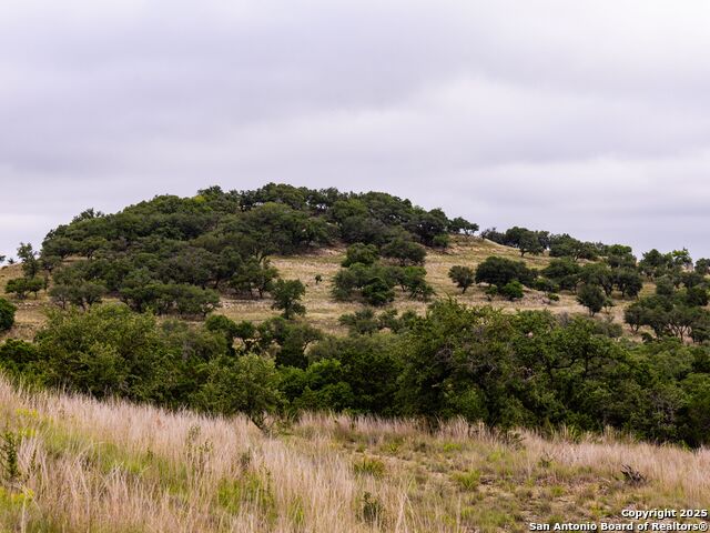 Image 18 of 39 For Lot 95 Big Sky
