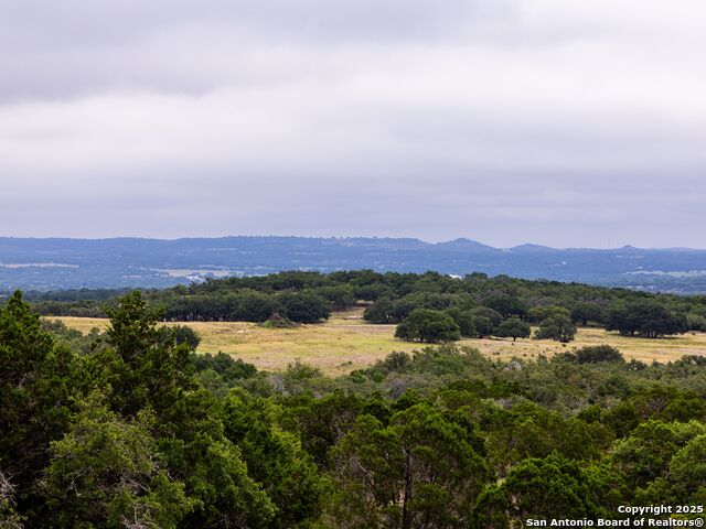 Image 19 of 39 For Lot 95 Big Sky