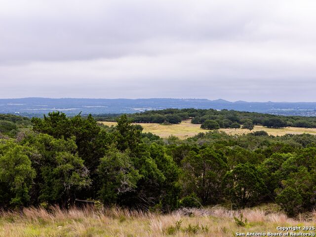 Image 20 of 39 For Lot 95 Big Sky