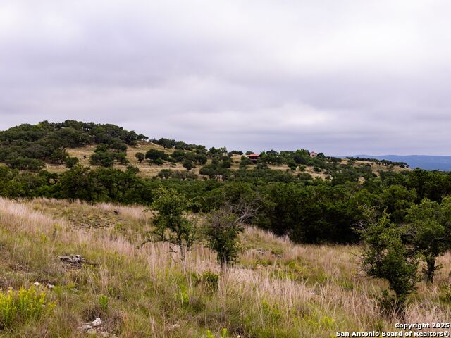 Image 21 of 39 For Lot 95 Big Sky