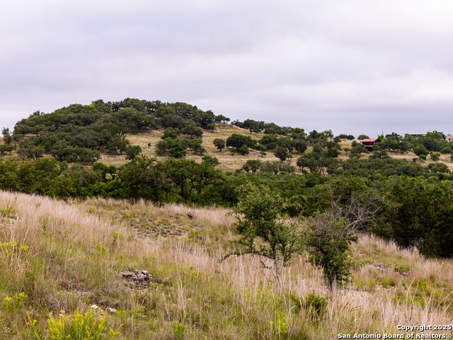 Image 22 of 39 For Lot 95 Big Sky