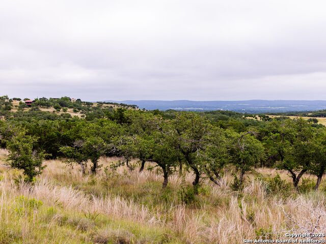 Image 24 of 39 For Lot 95 Big Sky