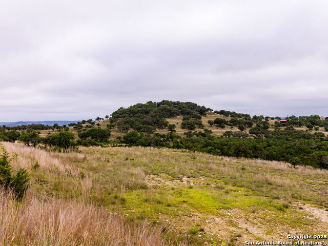 Image 26 of 39 For Lot 95 Big Sky