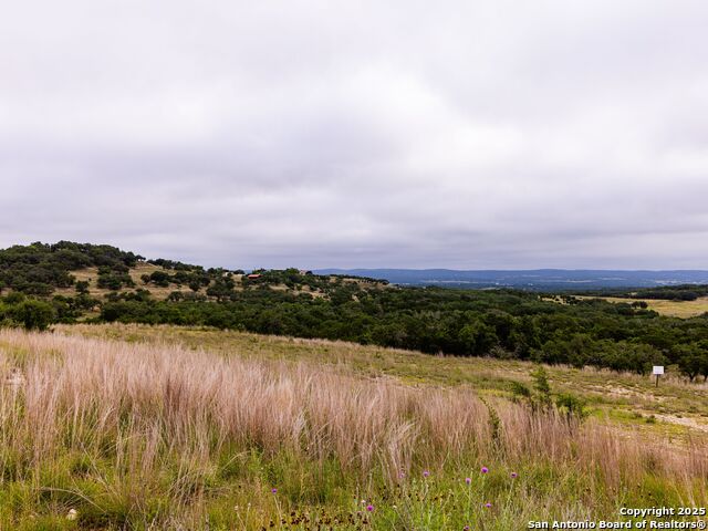 Image 27 of 39 For Lot 95 Big Sky