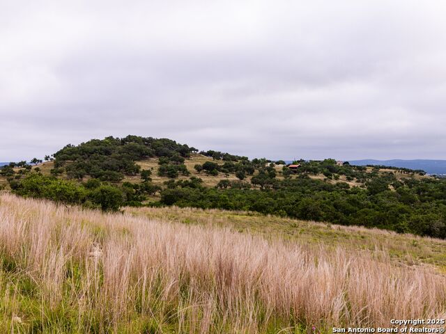 Image 28 of 39 For Lot 95 Big Sky