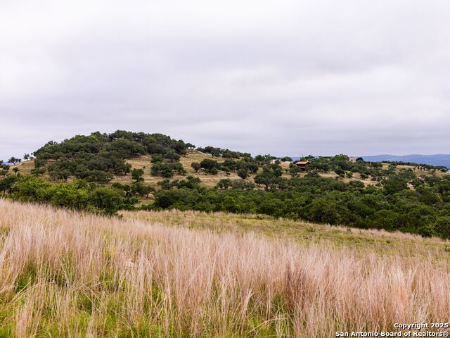 Image 29 of 39 For Lot 95 Big Sky