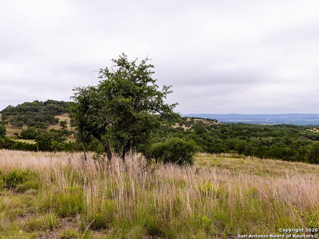 Image 3 of 39 For Lot 95 Big Sky