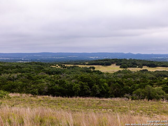 Image 31 of 39 For Lot 95 Big Sky