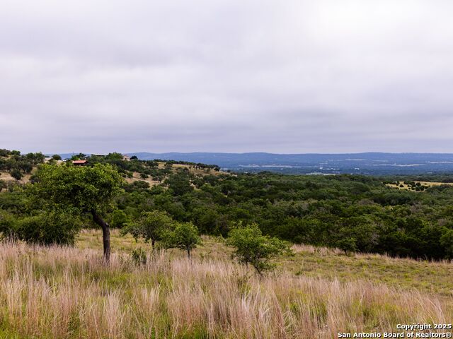 Image 32 of 39 For Lot 95 Big Sky