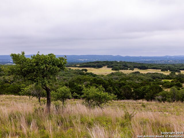 Image 33 of 39 For Lot 95 Big Sky