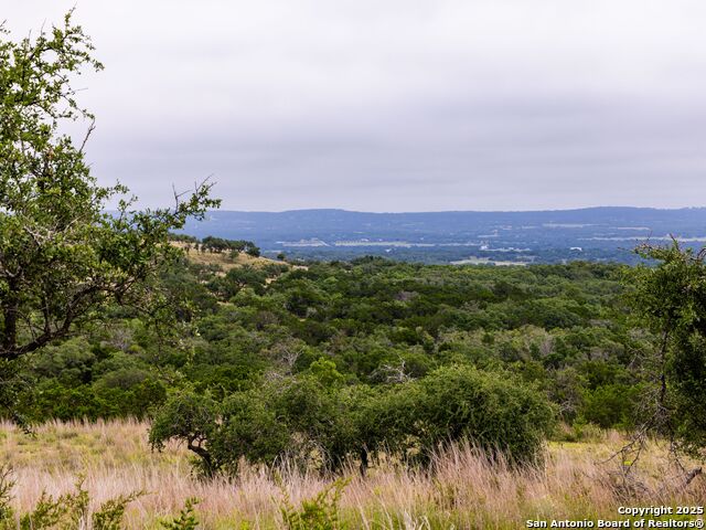 Image 34 of 39 For Lot 95 Big Sky