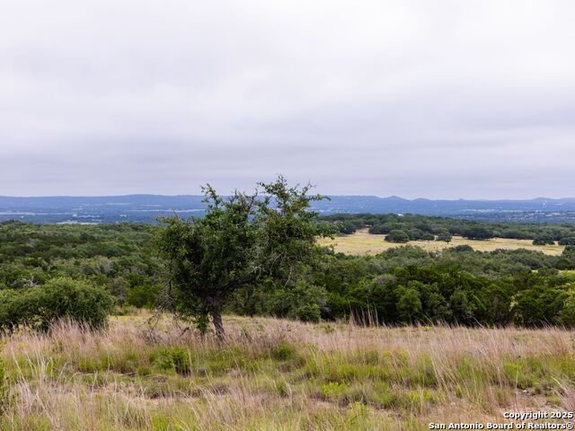 Image 36 of 39 For Lot 95 Big Sky