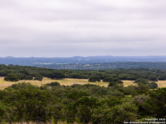 Image 4 of 39 For Lot 95 Big Sky