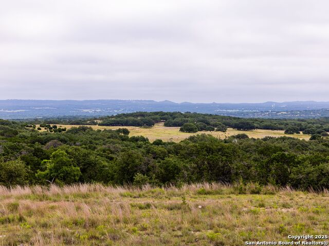 Image 5 of 39 For Lot 95 Big Sky