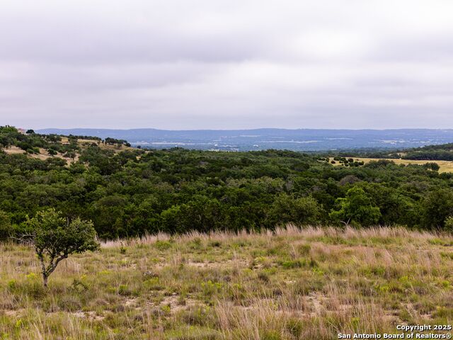 Image 6 of 39 For Lot 95 Big Sky