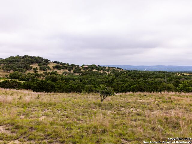Image 7 of 39 For Lot 95 Big Sky