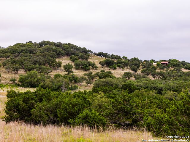 Image 8 of 39 For Lot 95 Big Sky