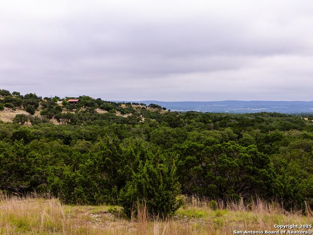 Image 9 of 39 For Lot 95 Big Sky