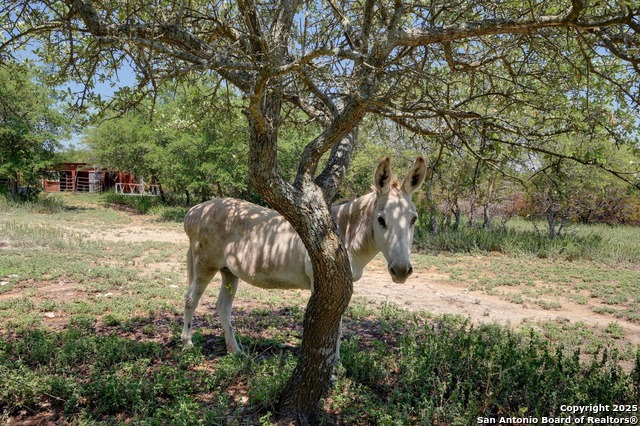 Listing photo id 28 for 108 Headwaters Ranch Rd