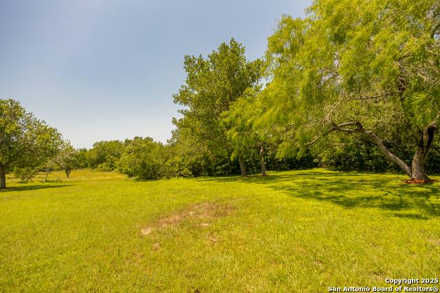 Listing photo id 37 for 237 County Road 393