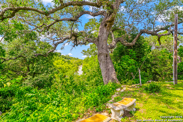 Listing photo id 39 for 237 County Road 393