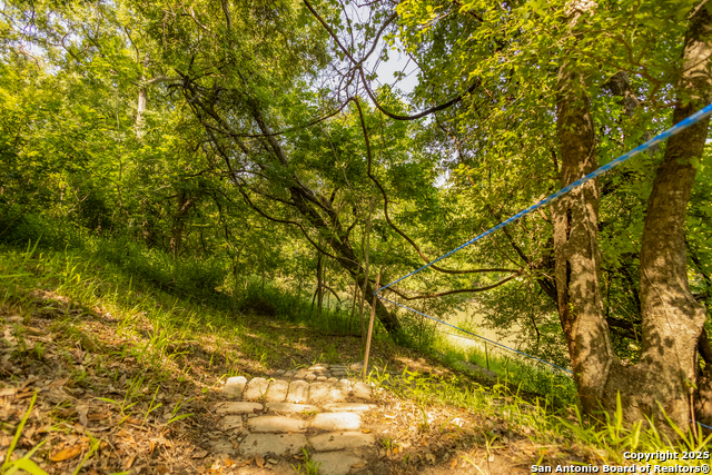 Listing photo id 42 for 237 County Road 393