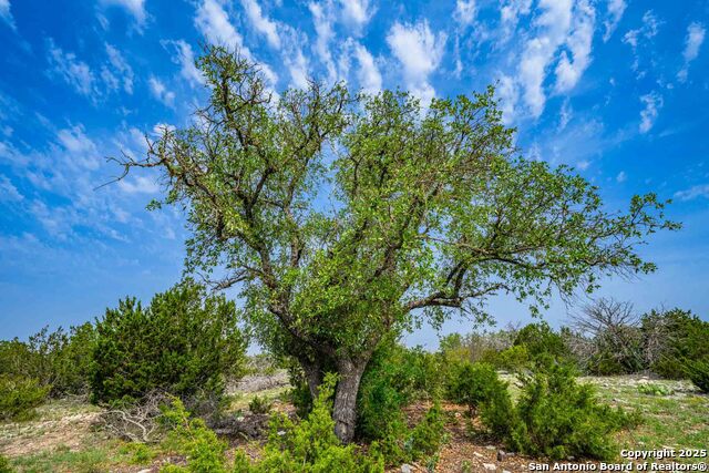 Image 11 of 33 For Tbd 74240  