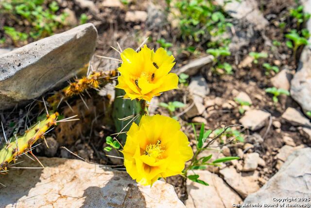 Image 26 of 33 For Tbd 74240  