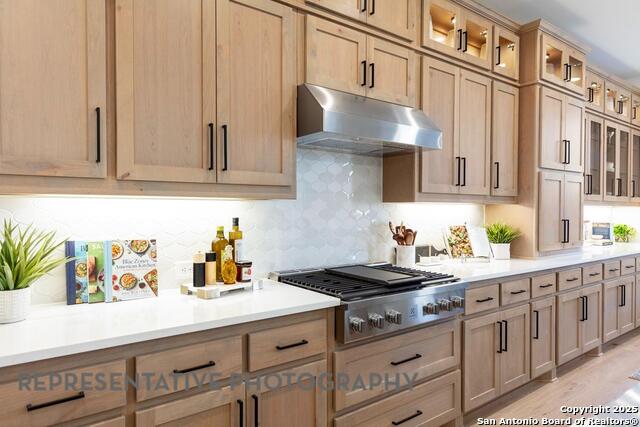 Listing photo id 2 for 169 Olmos