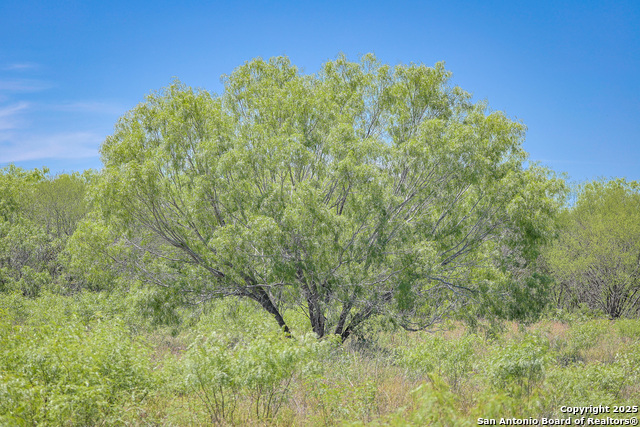 Listing photo id 11 for 6266 Highway 281