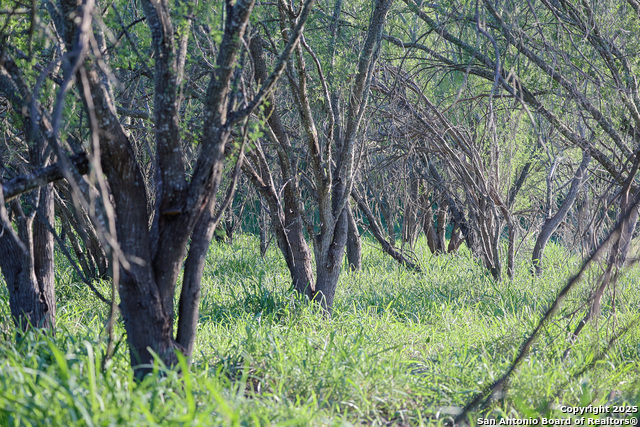 Listing photo id 12 for 6266 Highway 281