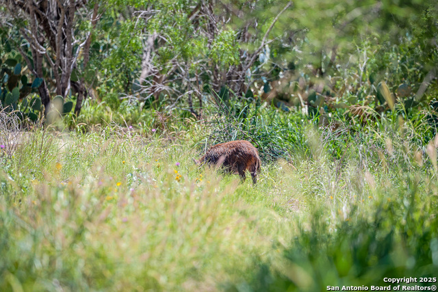 Listing photo id 13 for 6266 Highway 281