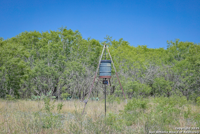 Listing photo id 14 for 6266 Highway 281