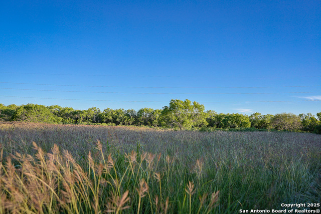 Listing photo id 15 for 6266 Highway 281